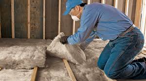 Best Spray Foam Insulation  in Arche, OK